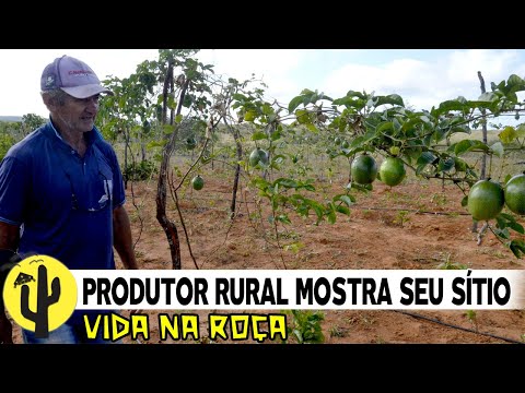 [VIDA NA ROÇA] Produtor Rural: Ednaldo mostra seu Sítio que é um Verdadeiro Paraíso - Última Parte 🌵