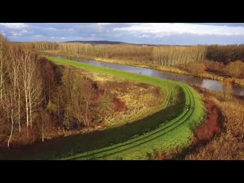 Soutok Svratky a Jihlavy, Nové Mýny