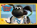 Sticky Timmy New Timmy Time