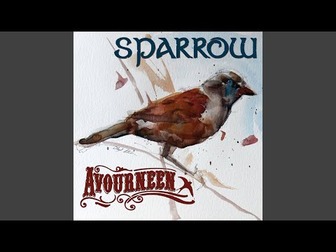 Follow Me up to Carlow/Morrison's Jig