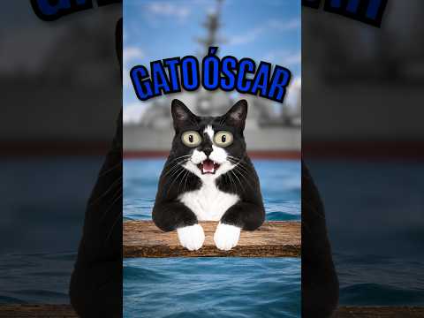 O Gato Imortal! #historias #segundaguerramundial #curiosidades