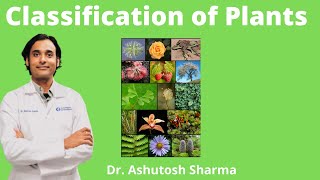 Types and Classification of Plants