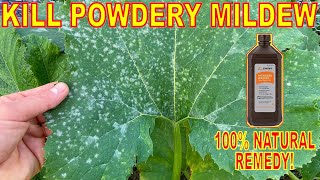 Kill Powdery Mildew With This Natural Garden Remedy: Hydrogen Peroxide