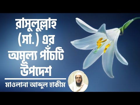 রাসুলুল্লাহর (সা.) অমূল্য পাঁচটি উপদেশ : মাওলানা আব্দুল হাকীম [হাদীসের পাঠ]
