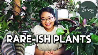 RARE HOUSEPLANTS (12 Hard but not impossible to find house plants)