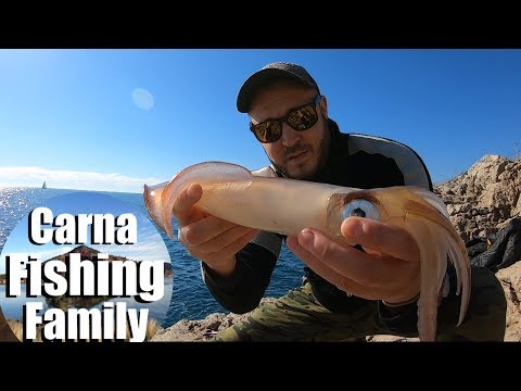 Fiskeri efter blæksprutter med fiskestang