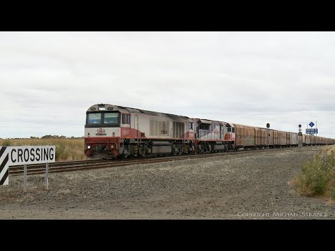 SCT 5PM7 Freight Train  (26/12/2021) - PoathTV Australian Railways