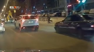 Мужик из-за болонки под