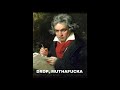 Dubstep Beethoven (troll) - Známka: 4, váha: střední
