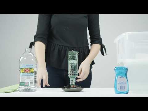 How to Clean and Fill the Perky-Pet® Antique Bottle...
