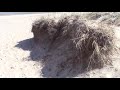 Native American Flute Music Podcasts Season 2 Ep 9