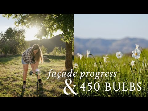 A Week Between Mortar and Meadows #100