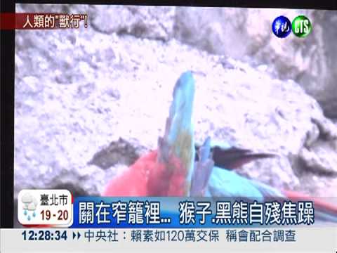 你觀賞牠痛苦! 農場成"悲慘世界"