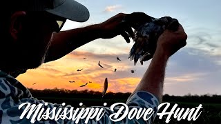 Dove Hunting in Mississippi | From Field to Table