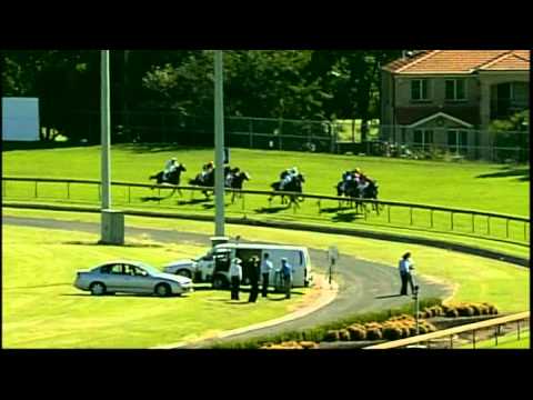 2008 - Ranvet Stakes - Tuesday Joy