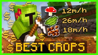 The Best Crops To Farm | Hypixel Skyblock