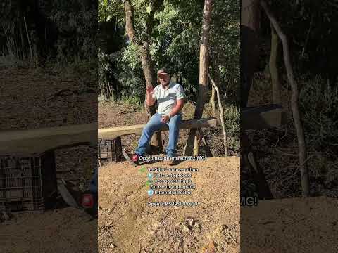 🌿 CHÁCARA À VENDA EM MUNHOZ/MG – APENAS 7 KM DA CIDADE 🌿💰 Valor: R$ 195.000,00