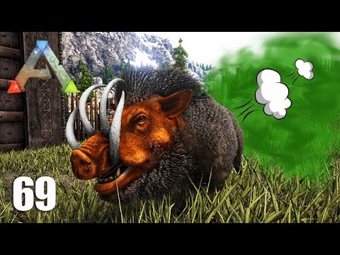 TAMING THE FARTING BOAR and CARNOTAUR TOO - Ep 69