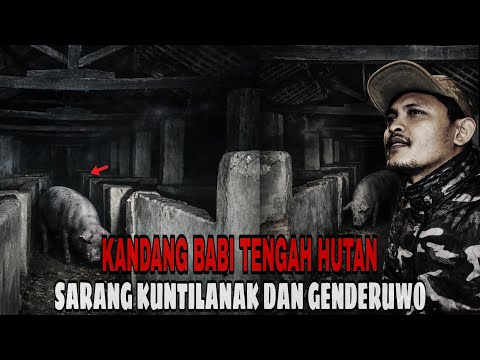 VIRAL MOJOKERTO !! MASUK KANDANG BABI, SARANG KUNTILANAK DAN GENDERUWO