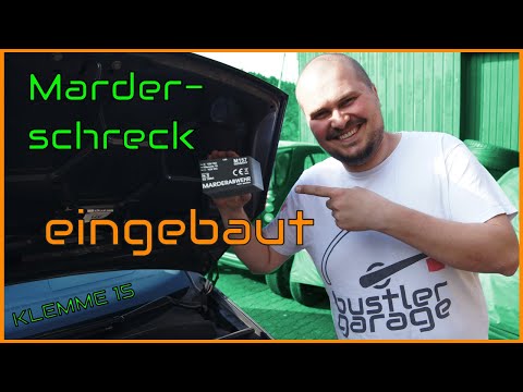 Marderschutz / Marderschreck einbauen mit Klemme 15 | Ford Galaxy | DIY