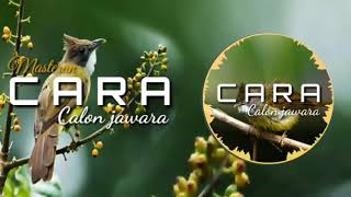 Download lagu MEMANCING CUCAK JENGGOT BISU|| EDAN GREJANYA MESIN JAHIT mp3 Download lagu MEMANCING CUCAK JENGGOT BISU|| EDAN GREJANYA MESIN JAHIT mp3