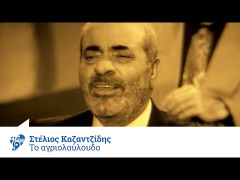 Στέλιος Καζαντζίδης - Το αγριολούλουδο - Official Video Clip