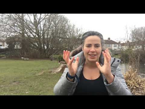 Information gathered from a heroic dose of DMT!