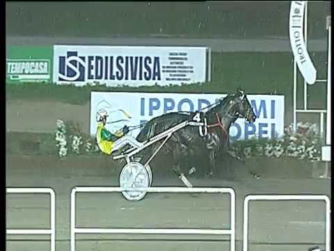 Trotto 22/10/2017 - 5ª corsa