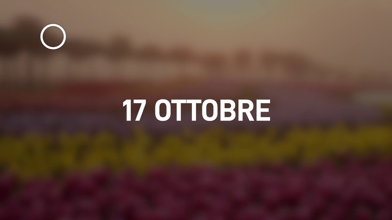 17 Ottobre 2024 | Meditazione Parole di Vita