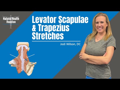 Neck Stretches - Levator Scapulae and Upper Trapezius