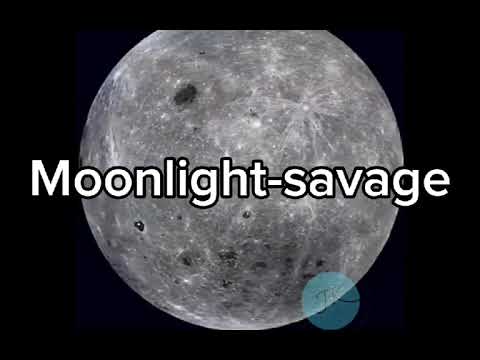 Moonlight- Savage (song made by Suno ai)