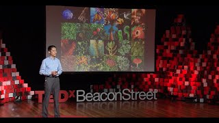 Decoding the Chemical Language of Nature | Jing-Ke Weng | TEDxBeaconStreet