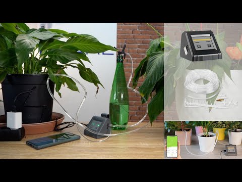 Comment installer un arrosage automatique pour les vacances ? NX4985