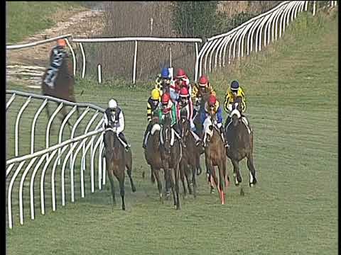 Galoppo 27/01/2018 - 3ª corsa