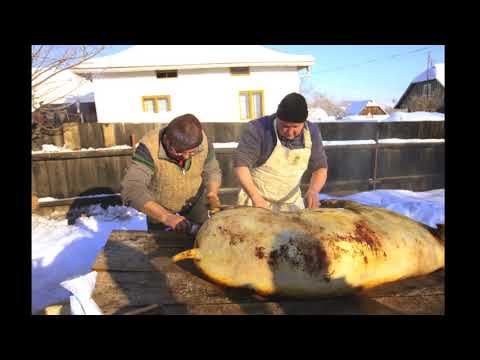 Quelques photos à Ilisesti