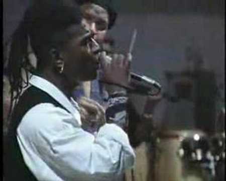 Normal natural (Juan formell y los van van)