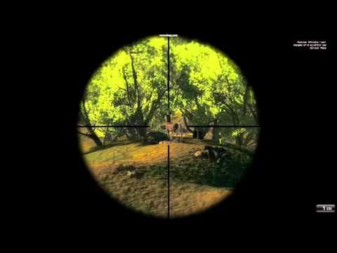 3D Helicopter Coyote Hunter PC