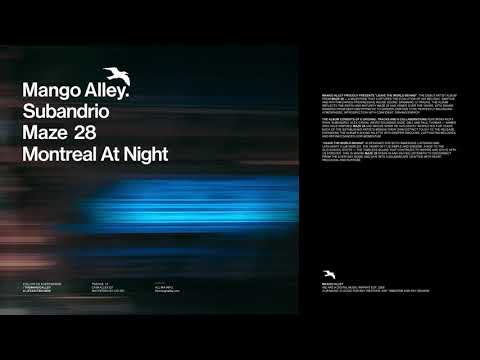 SUBANDRIO & MAZE 28 Montreal At Night
