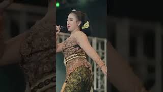 Download lagu suara nya nyandu..#koplo#lagu.bugis mp3 Download lagu suara nya nyandu..#koplo#lagu.bugis mp3