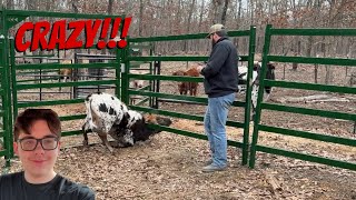 Emergency!!🚨 @DossFarm