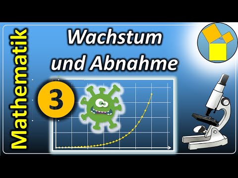 Wachstum und Abnahme (3) - Exponentielle Vorgänge - www.mathe-physik-technik.de