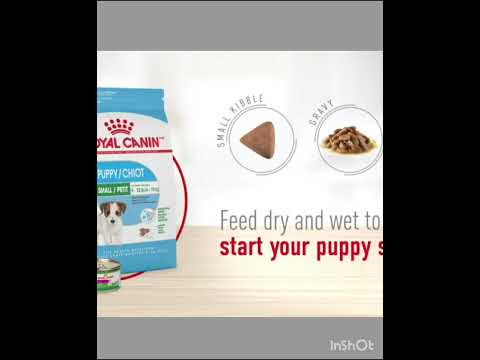 Royal Canin Medium Puppy Dry Dog Food, 6 pounds