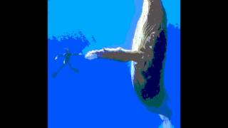 Orquestra Imperial - De um amor em paz