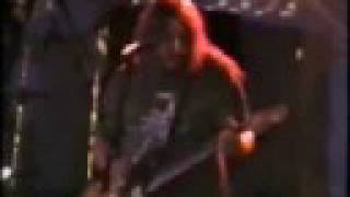 BEVIS FROND - Terrastock IV