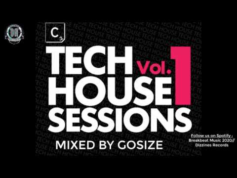 Tech House Funky Nu Disco Mix by Gosize 2020