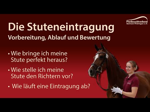 Stuteneintragung