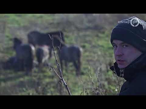 BuitenGewoon-presentator Twan stopt, dit was zijn meest bijzondere moment - BuitenGewoon