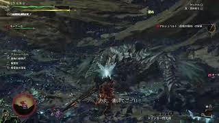 モンハンワイルズ　大剣練習