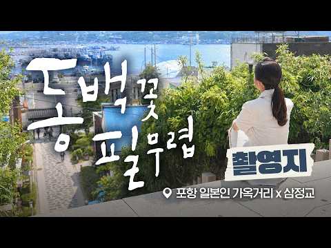 과거의 아픔을 현재의 따뜻함으로 | 시네마 경북 x 동백꽃 필 무렵