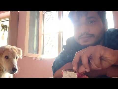 anji stealing biscuits 🥰🐕